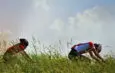 Is cycling good or bad for your back?