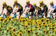 Tour de France Riders to Follow on Strava