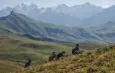 The Gravel Tour du Mont Blanc: a 200 km race with over 8500 m of climbing on September 3 and 4, 2022