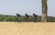 Taking turns in a group or breakaway: how to contribute to the collective effort, and how not to overdo it to avoid burning out