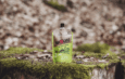 Pea/celery/cilantro puree: Baouw’s new product for athletes!