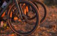 New Shimano RX880 Carbon Gravel Wheels