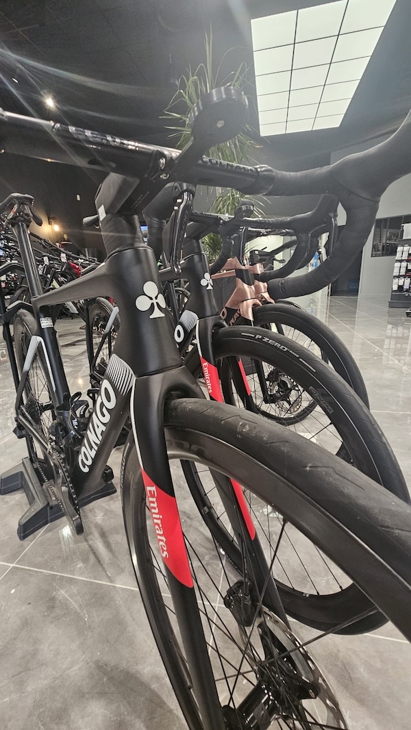 In de schoenen van Pogacar: als een winkel een Colnago V4RS voor een dag ter beschikking stelt test
