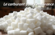 Carbohydrate overdose in the peloton: progress or excess?