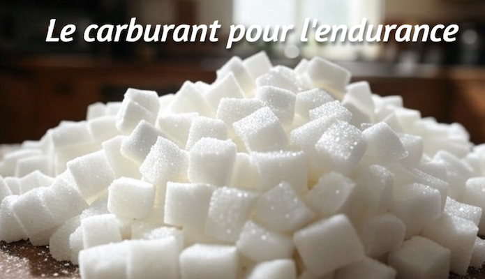 L’overdose de glucides dans le peloton : progrès ou excès ?