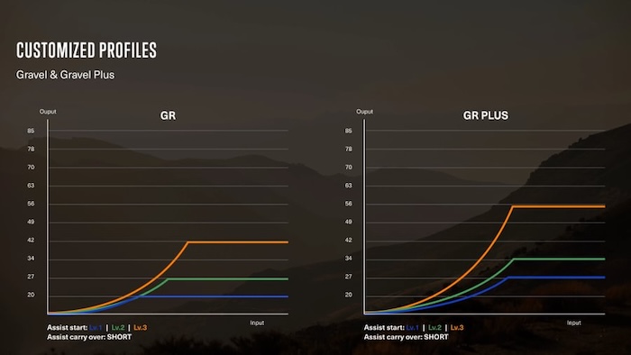 Screenshot of the torque values chosen by Orbea in the two assistance settings of the Orbea Denna