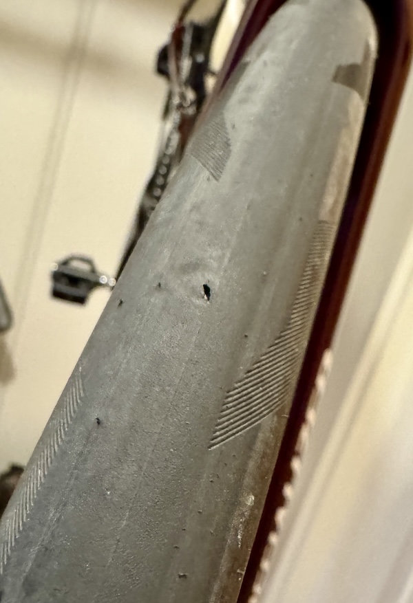 Test nuovi pneumatici tubeless Michelin Pro 5