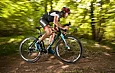 Motivation or discipline? Why true champions never count on desire