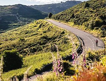 BikingMan Corsica 2026 : près de 500 ultracyclistes attendus sur les routes mythiques de l’île