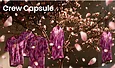 Alé présente une collection Capsule, appelé Crew