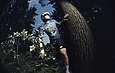 ASSOS et EF Pro Cycling dévoilent la Collection Spooky