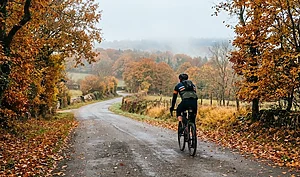 cycliste sur route d'automne