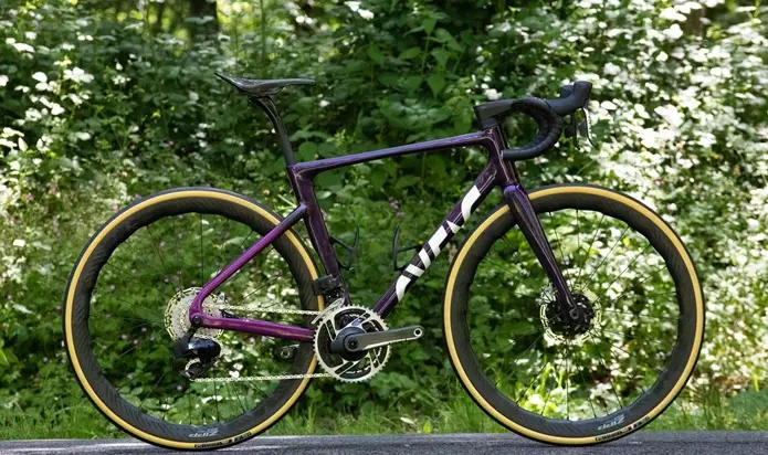 Vélo de route violet avec des roues à profil en carbone garé devant un feuillage vert.